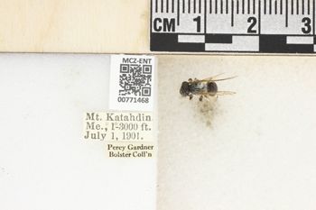 Media type: image;   Entomology 771468 Aspect: Labels